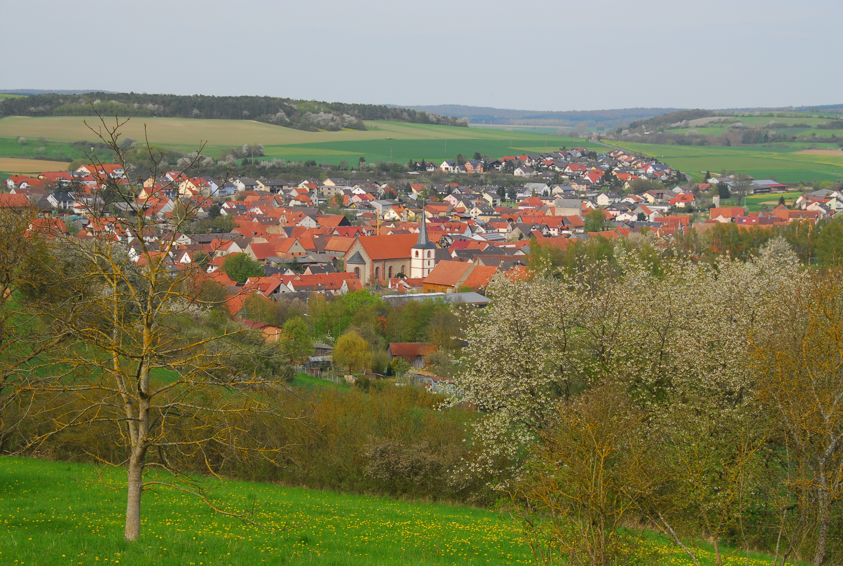 Leider haben wir keinen Alternativtext zu diesem Bild, aber wir arbeiten daran.